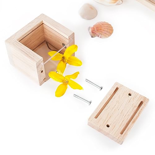 Clear Treasure Blocks: Educational Stacking Toy