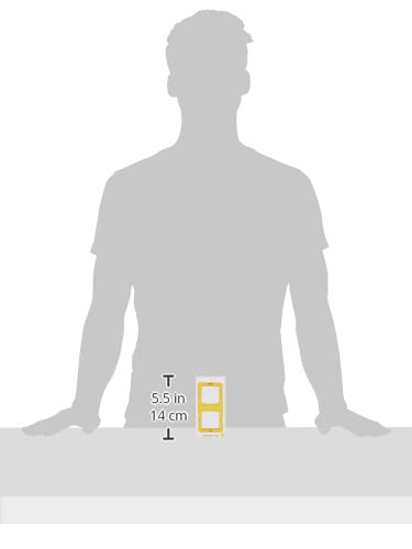 Rainbow Magnetic Building Shapes for Kids