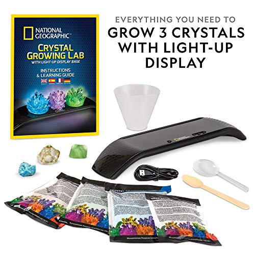 Geology Bundle with Crystal, Fossil and Rock Kits