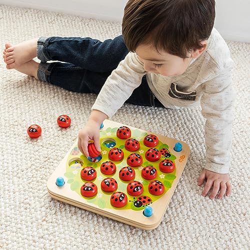 Ladybug's Garden Memory Game for Kids