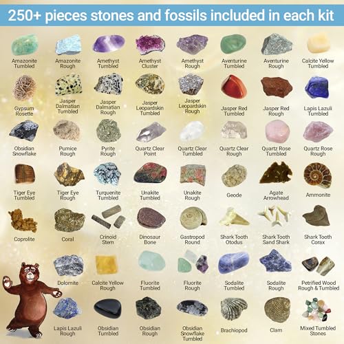 Rock & Mineral Collection Kit for Kids