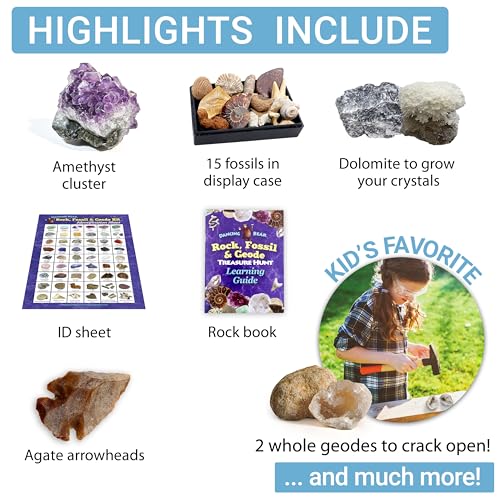 Rock & Mineral Collection Kit for Kids