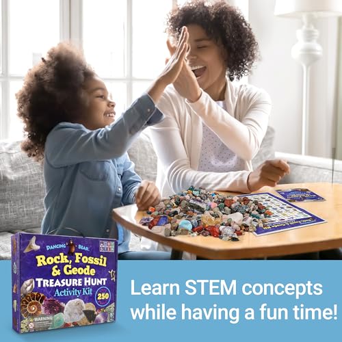 Rock & Mineral Collection Kit for Kids
