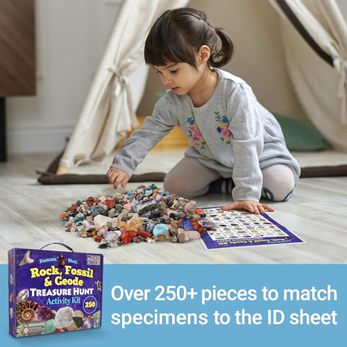 Rock & Mineral Collection Kit for Kids
