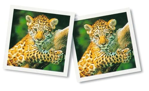 Ravensburger 23013 6 "Animal Baby Memory Game