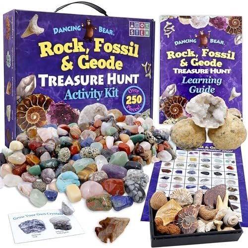 DANCING BEAR Rock Kit with Geodes & Fossils