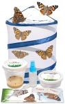 Butterflies in a Pop-Up Cage Kit