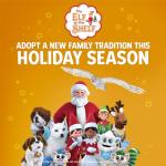 Blue-eyed Boy Elf on the Shelf