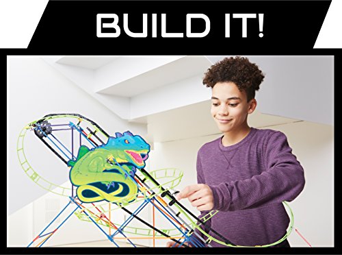 Twisted Lizard Roller Coaster Building Set