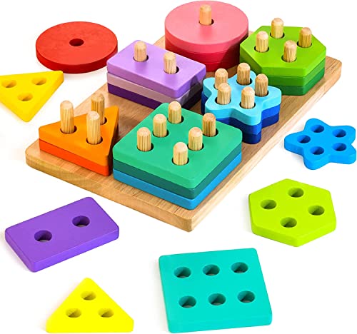 Wooden Montessori Shape Sorter Toy Set