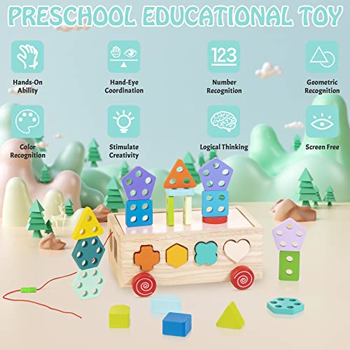 Wooden Shape Sorter Truck with Geometric Blocks