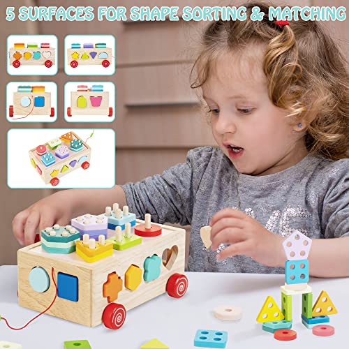 Wooden Shape Sorter Truck with Geometric Blocks