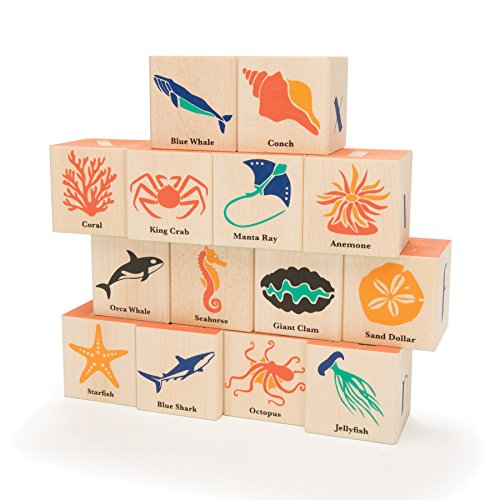 USA-Made Ocean Blocks by Uncle Goose