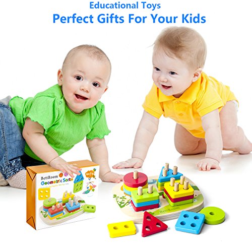 Wooden Shape Sorting Toy for Kids