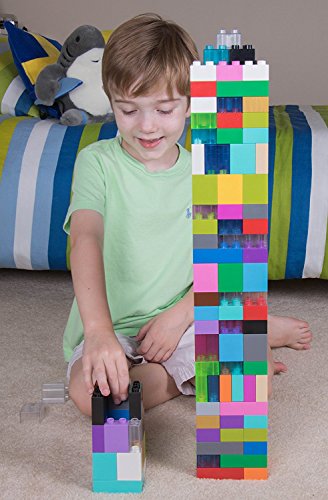 Strictly Briks Toy Building Block - Big Briks Set-Large Building Blocks for Ages 3 Years & Up, 24 Rainbow Colors, 204 Pc