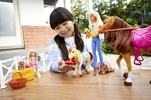 Barbie Playset with Horse and Accessories