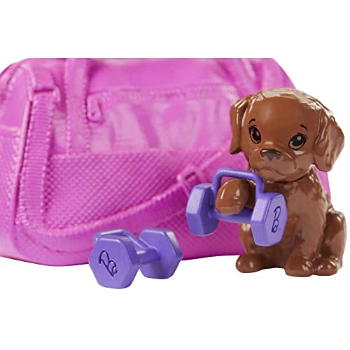 Barbie Fitness Doll Set with Accessories