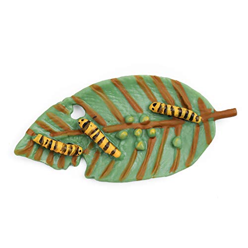 Butterfly Life Cycle Kit for Kids