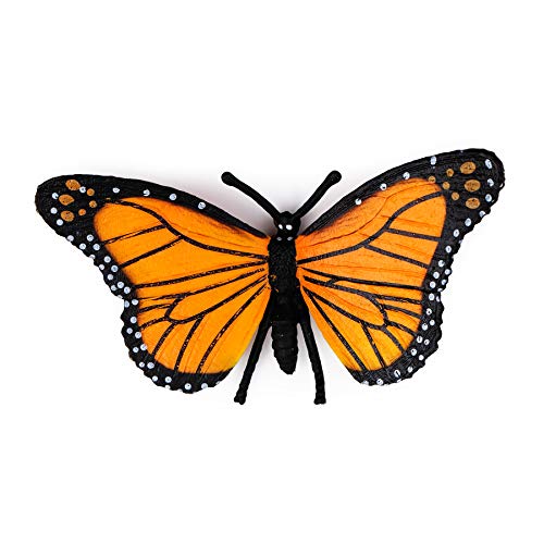 Butterfly Life Cycle Kit for Kids
