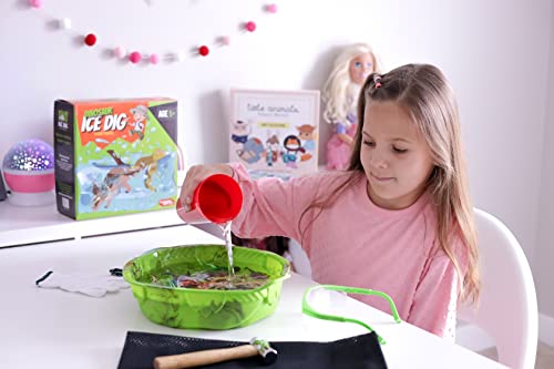 Dinosaur Ice Dig Kit for Kids
