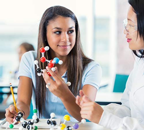Dalton Labs Molecular Model Kit - 252 Pcs