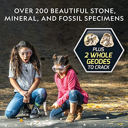 Geology Bundle with Crystal, Fossil and Rock Kits