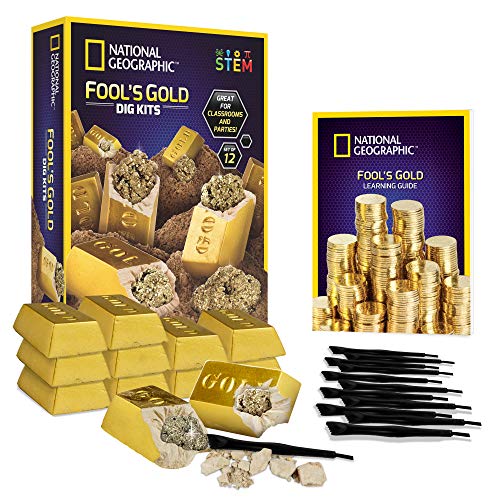 12-Piece Fool's Gold Dig Kit with Excavation Tools
