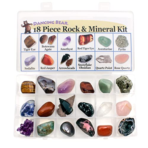 Geology Gem Kit for Kids with Display Case" by Dancing Bear