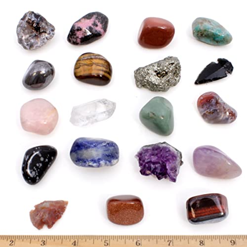 Geology Gem Kit for Kids with Display Case" by Dancing Bear