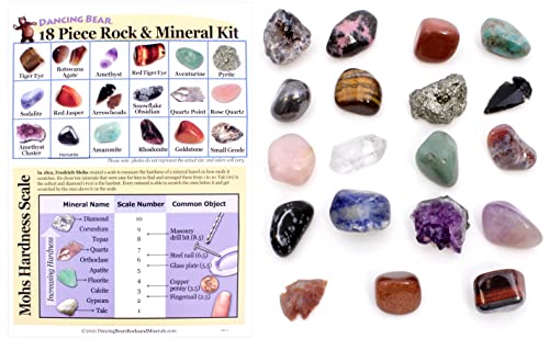 Geology Gem Kit for Kids with Display Case" by Dancing Bear