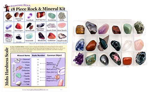 Geology Gem Kit for Kids with Display Case" by Dancing Bear