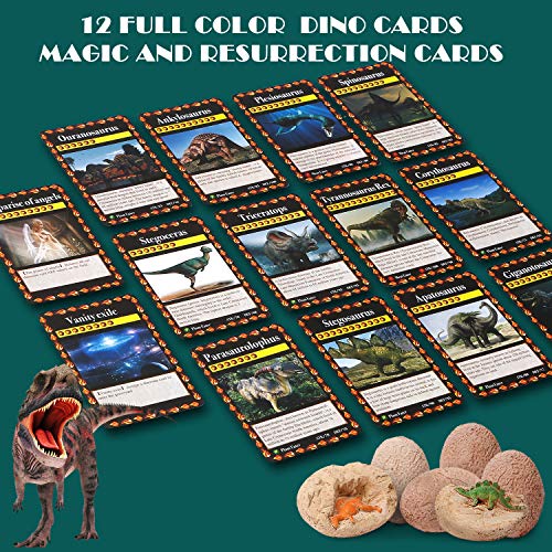 Dino Egg Excavation Kit - 12 Dinosaur Eggs