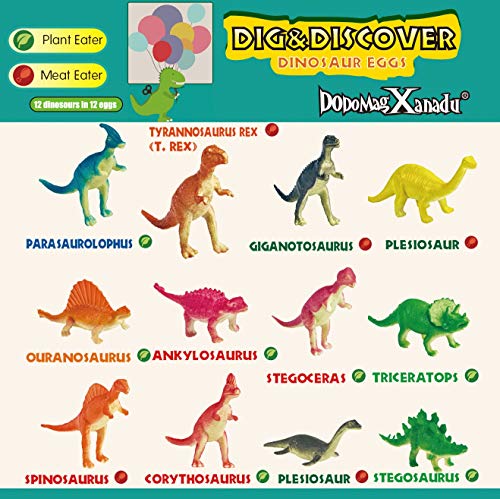Dino Egg Excavation Kit - 12 Dinosaur Eggs