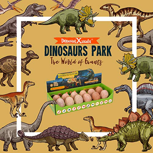 Dino Egg Excavation Kit - 12 Dinosaur Eggs