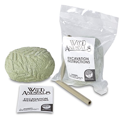Wild Animal Dig Kit - 12 Eggs & Tools