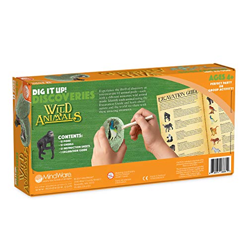Wild Animal Dig Kit - 12 Eggs & Tools
