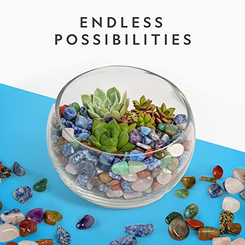 2 lbs. of Polished Stones & Crystals for Kids