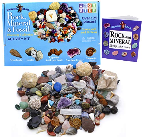 STEM Rock & Fossil Kit with over 125 pcs