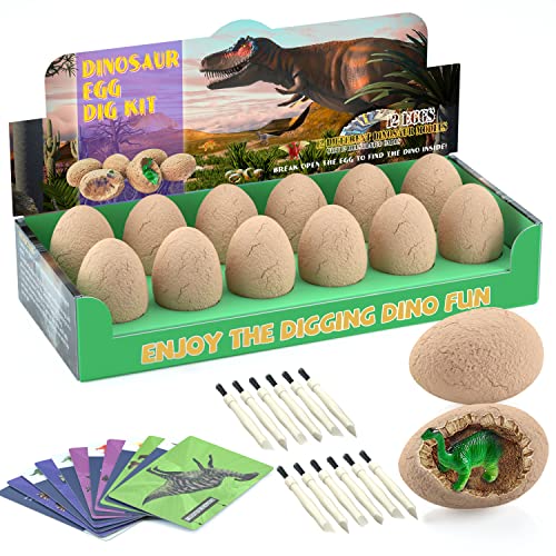Dig for 12 Cute Dinosaur Toys - STEM Birthday Gift