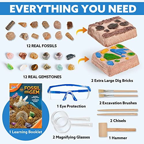 Gemstone Fossil Dig Kit for Kids