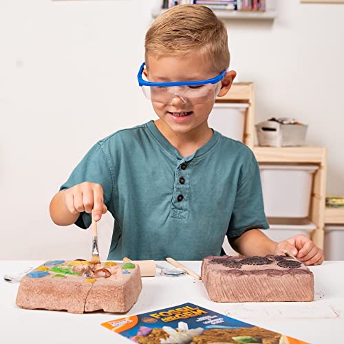 Gemstone Fossil Dig Kit for Kids