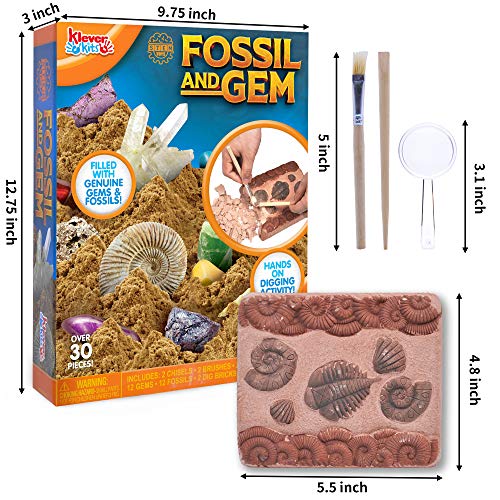 Gemstone Fossil Dig Kit for Kids