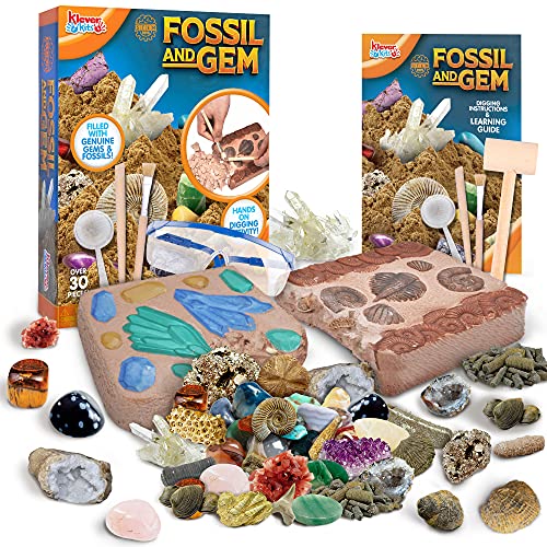 Gemstone Fossil Dig Kit for Kids