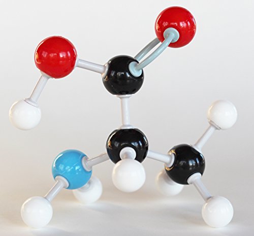 Organic Chem Model Kit - 125 Pieces