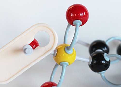 Organic Chem Model Kit - 125 Pieces