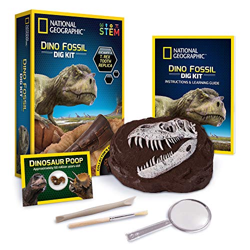 Dino Fossil Dig Kit with T.Rex Tooth Replica