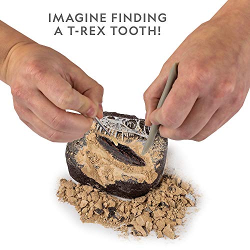 Dino Fossil Dig Kit with T.Rex Tooth Replica
