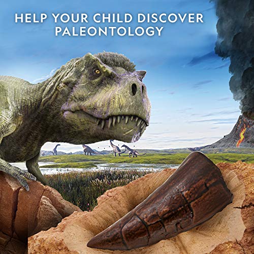 Dino Fossil Dig Kit with T.Rex Tooth Replica