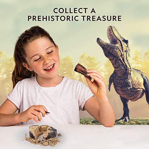 Dino Fossil Dig Kit with T.Rex Tooth Replica