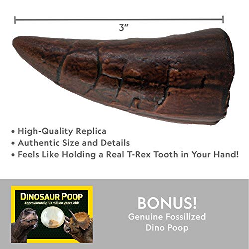 Dino Fossil Dig Kit with T.Rex Tooth Replica